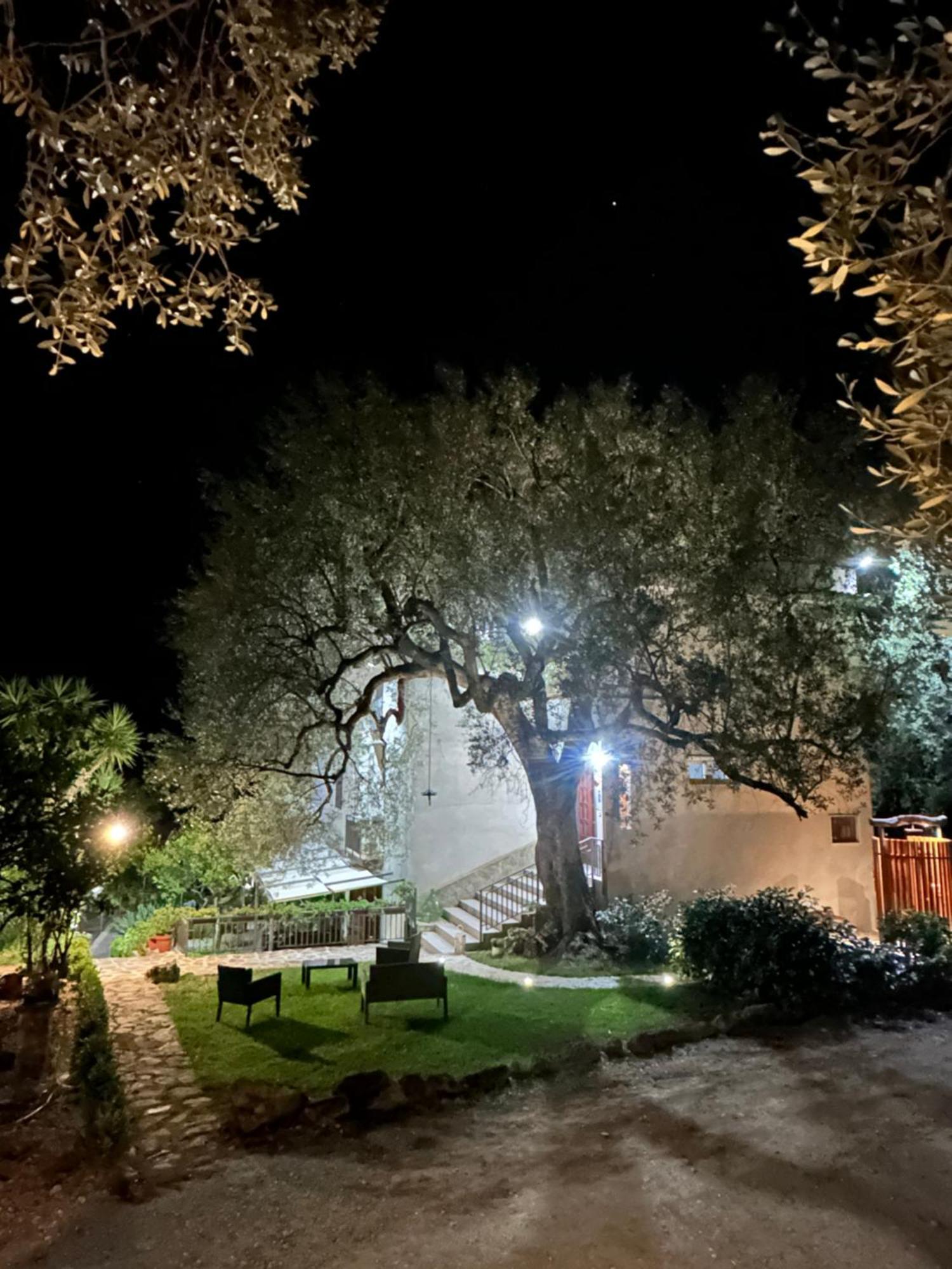 Apartamento La Casa Del Maestro Attico Pisciotta Exterior foto