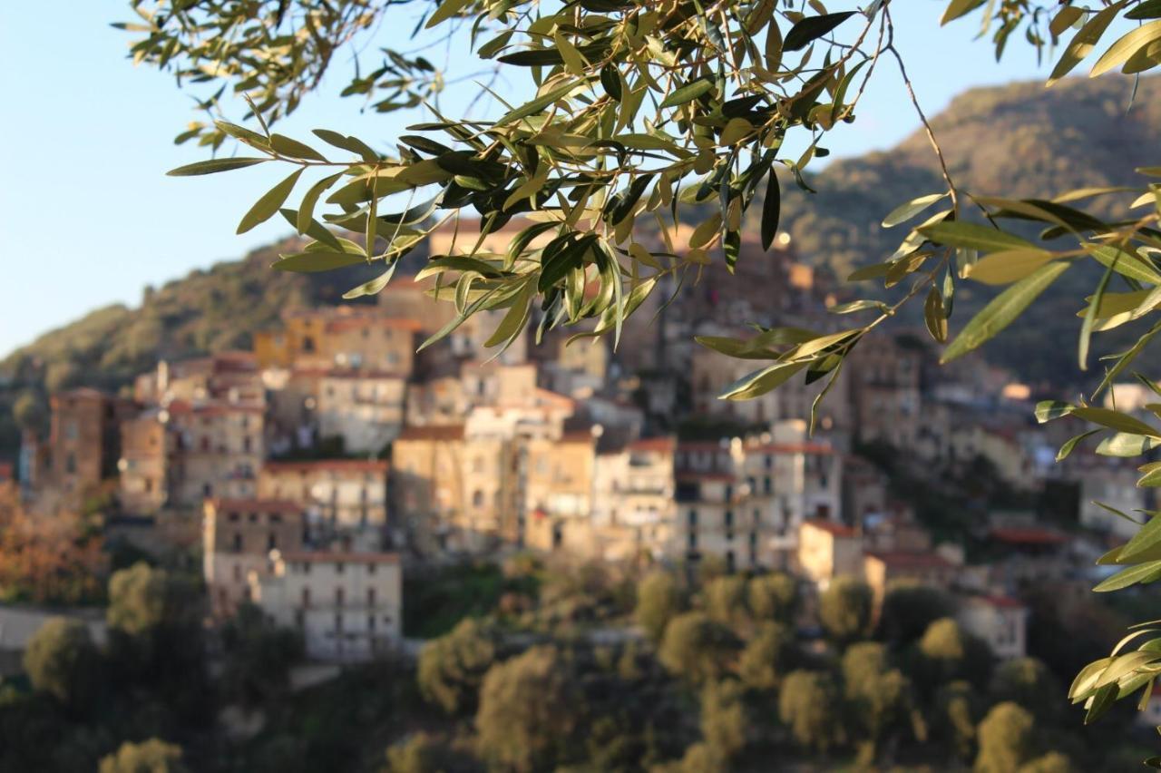 Apartamento La Casa Del Maestro Attico Pisciotta Exterior foto